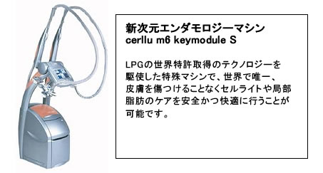 エンダモロジー